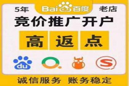 行业首例：SEM竞价优化案例的成效与启示